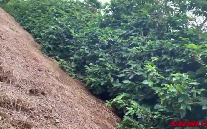 Amateur world: Beautiful Young Girl with Dreads Fucks Inside the Coffee Plantation