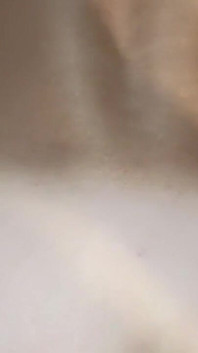 Analsex Und Pussy Fick in Hundestellung