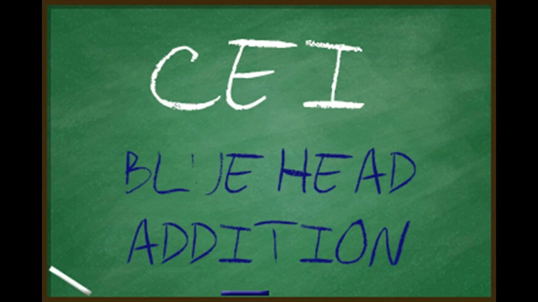 Campsissyboi: CEI für wirklich schwule sissy