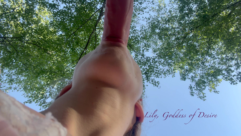 Lily, Goddess of Desire: Rough Sex with a Cute Teenage Girl in Uniform