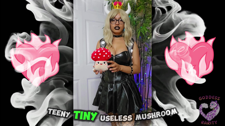Goddess Rarity: เทพธิดาหายากแก้ผ้าเพื่อคุณเป็น bowsette