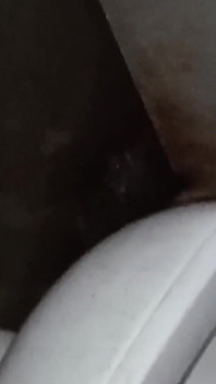 今天我的妻子不安分地被操