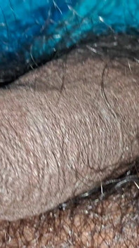 Hairy Panes