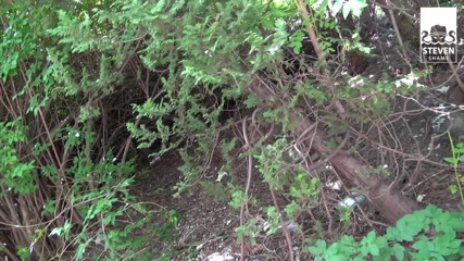 Steven Shame: First time outdoor for bavarian MILF: Seduction to threesome with...