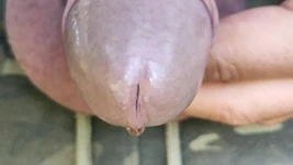 Sudut pandangan dekat kencing zakar yang belum disunat