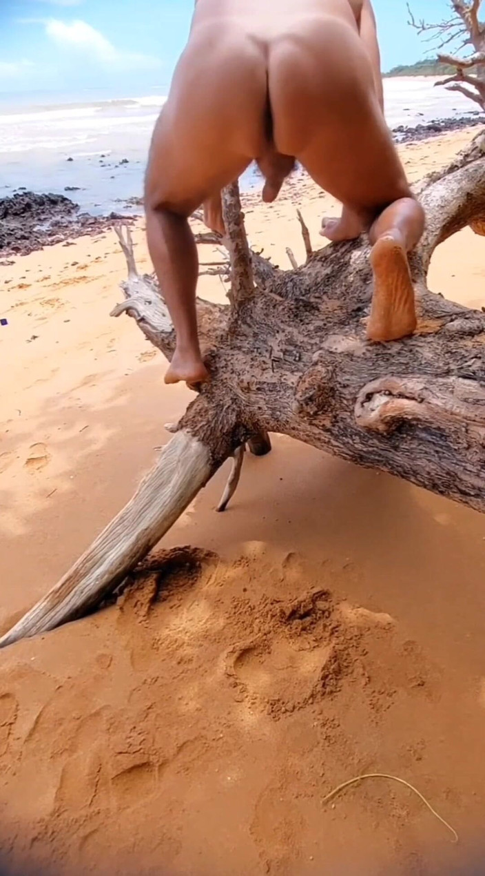 Ladysilvas: Ladysilva