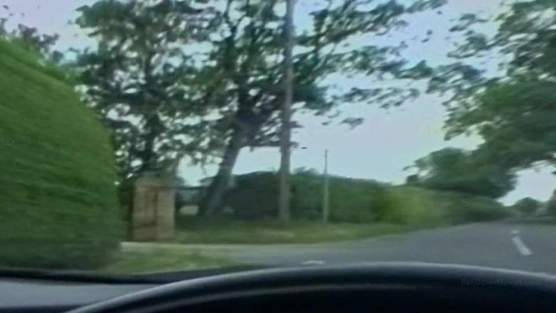Ben Dover Movies: Mai mult sex și settee: Susan
