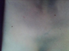 savannahamatoriale: Te contaré sobre el sacerdote de la parroquia