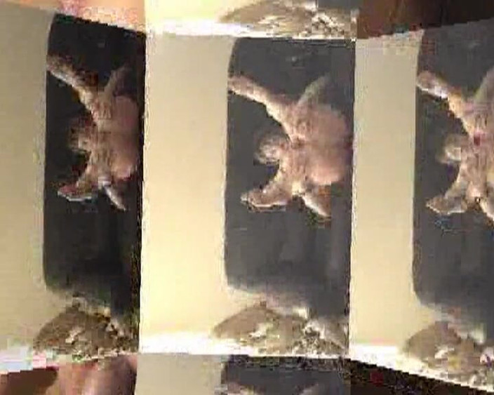 Monde Francais: En fransk kvinna som förstörs i vardagsrummet