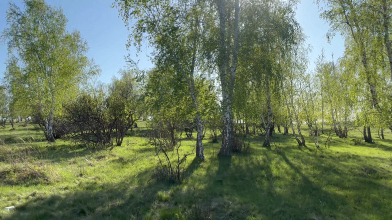 LapkaLu: Sexo en el bosque con tetona compañera de clase Joven...