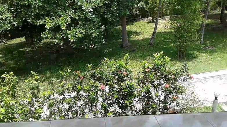 MissAnja_FH: Pov - balkon sepong kontol