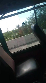 BBC Flash in the Bus