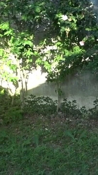Fucked Raw in Exhib Ublic
