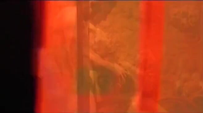 THAGSON: Toni ribas ngentot sama sophie evans di kamar mandi (DOWNWARD_04)