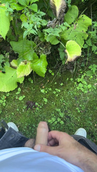 Golden Stream: Peeing in Paradise