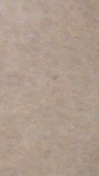 Fuck Me Doggy Style in My Asshole -1