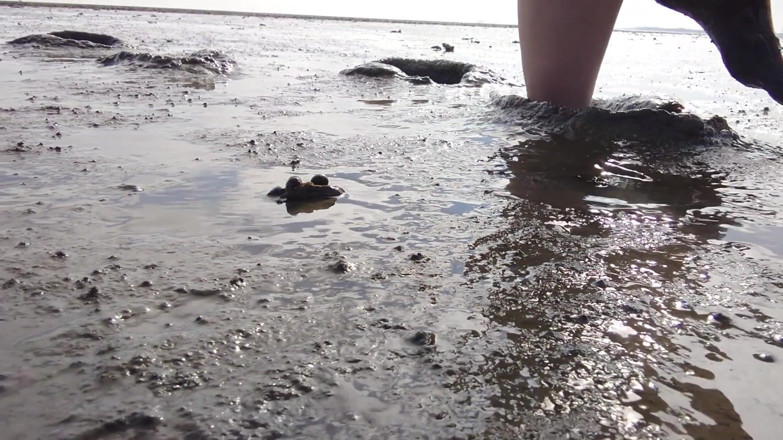 Footfetish: V krásných punčochách v Waddenském moři Wangerlandu