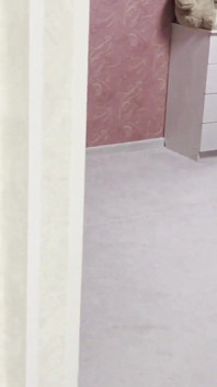 Müşteri kuryeden güçlü bir döl aldı... Umarım hamile bırakmıyordur.