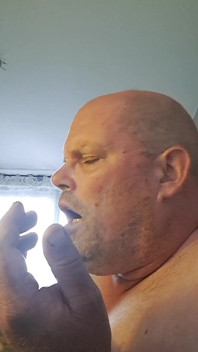 Den Förstörda Bitchen 2
