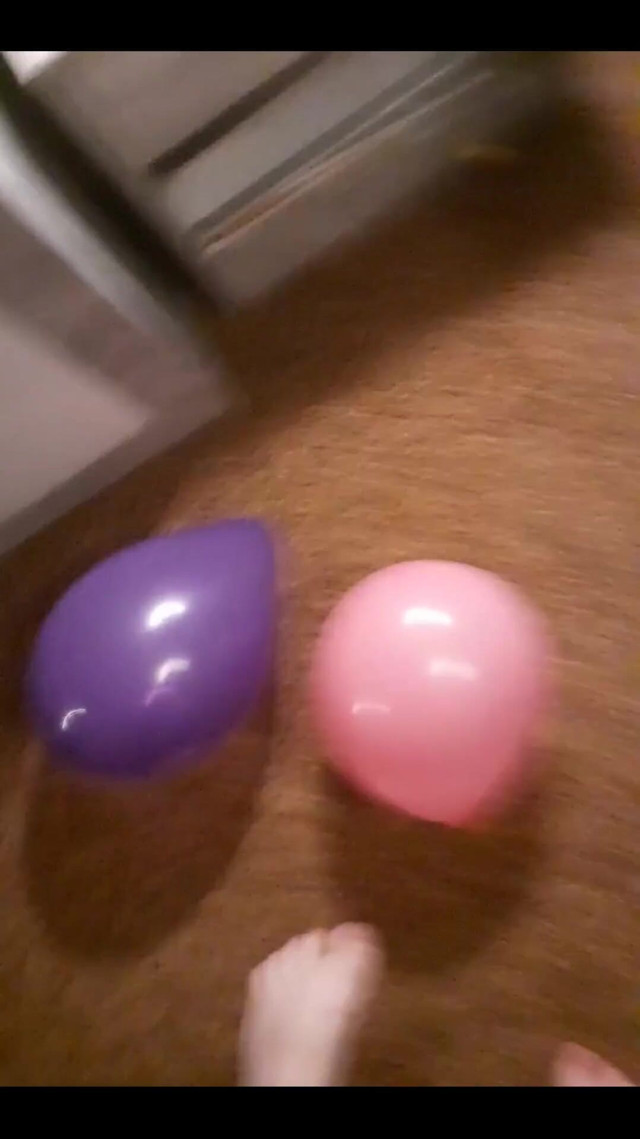 I Popped Balloons with My Feet (Tammarabig)