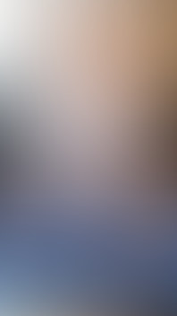 Horny Bottom Riding Thick 12 Inches Xxl Dildo