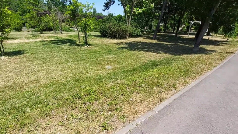 Step Mommy: J’ai attrapé une MILF sexy dans le parc pour une...