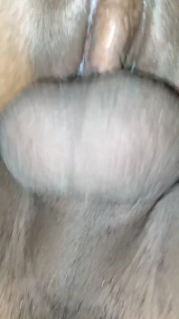 Une coquine reçoit une bite
