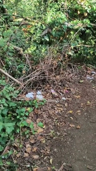 I Found 2 Used Fully-loaded Condoms Outside. Here's What Happened Next...