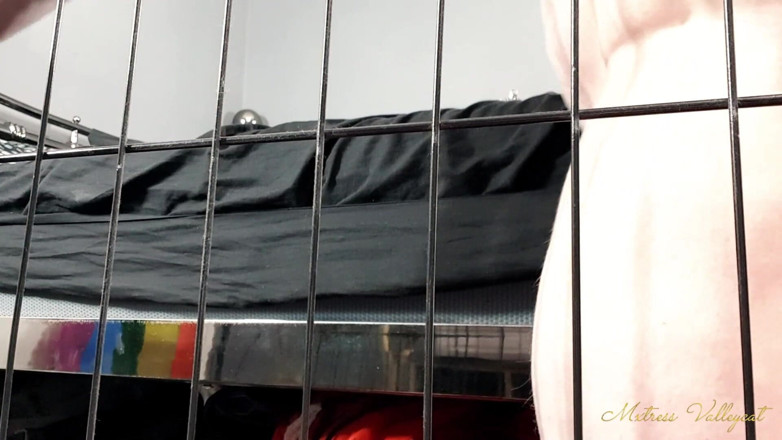 Mxtress Valleycat: Ignored and caged while i get ready to go out