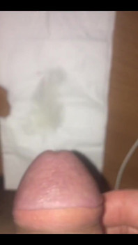 Would You Like to Lick?