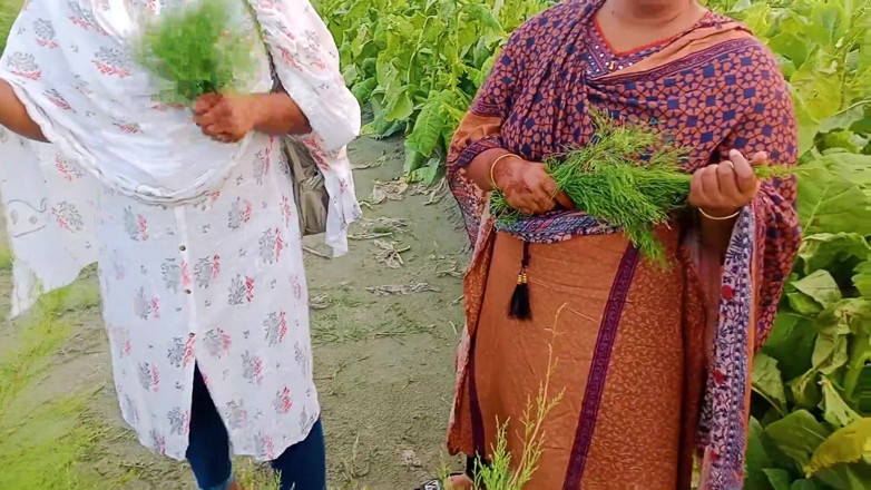 Hoktoml99: Rakib69 _ bangla desi villaggio all'aperto 3 alcuni mms caldi