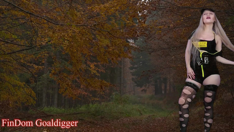 FinDom Goaldigger: Dangerous road