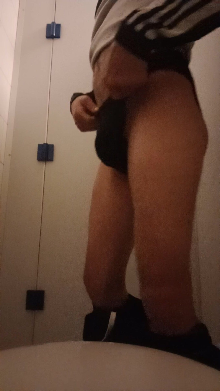 Sysi: 美しい首輪を鑑賞する