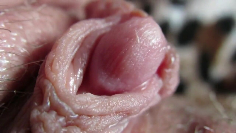 Cuteblonde666: Big clit compilation 2