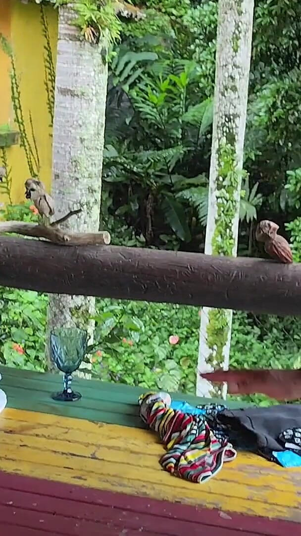 Husband Gifts Wife with a Well-endowed Black Man, and She Lets Him Have Sex Outdoors on a Farm. (Jhonny Punp)