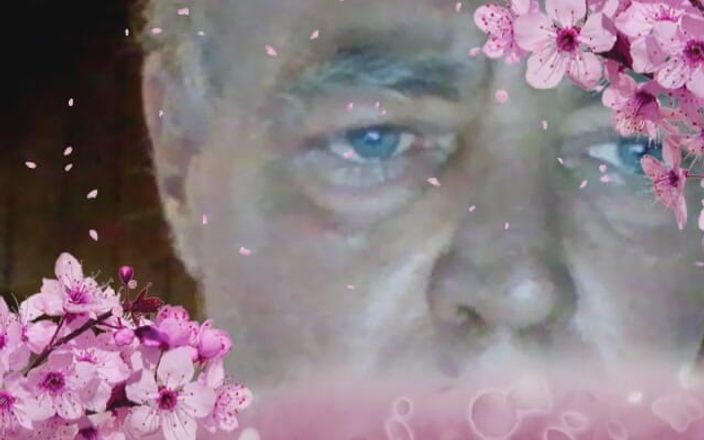 Who fucks my permanently horny anal cunt: Papa's gezicht