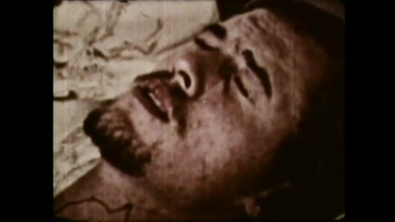 Vintage Usa: 독특한 즐거움