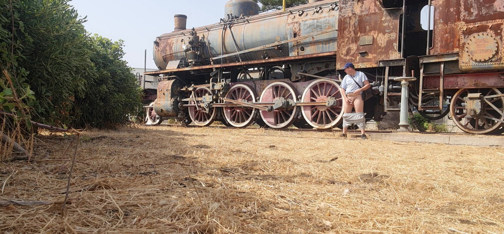 Nude Near an Old Train (Mirko2589)