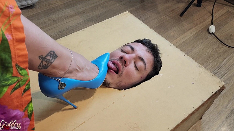 KiffaFeet: 얼굴 상자 아래 패자는 여신 Kiffa 더러운 하이힐 스틸레토와 발바닥을 숭배 무시 - 스틸레토 - 발 숭배