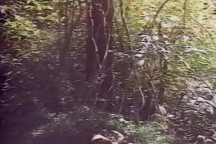 Lovers Of Vintage: Hamile sürtük açık havada üçlü sekste sikiliyor