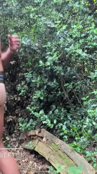 Daddies Menerokai Hutan