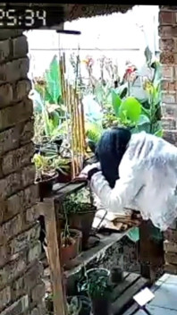 Bos pengen aku ngentot istri binalnya yang lagi coli