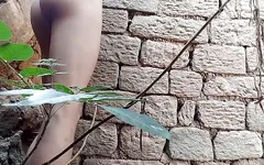 Coqueta Lara 3