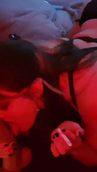 Merokok XXL Dildo Menghisap