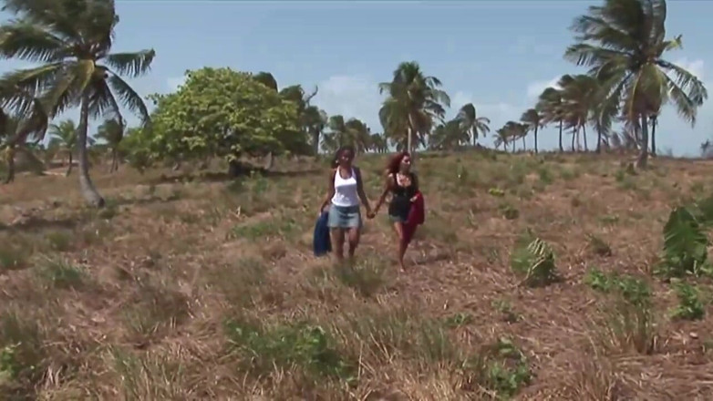 XTime Vod: Gatas no Brasil - (O filme)