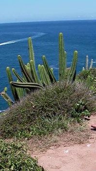 La teen bionda magra Nessa si fa inculare da grossi cazzi