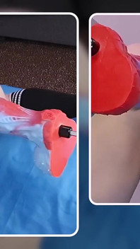 Mike Essex Tries an Impossible Dragon Dildo