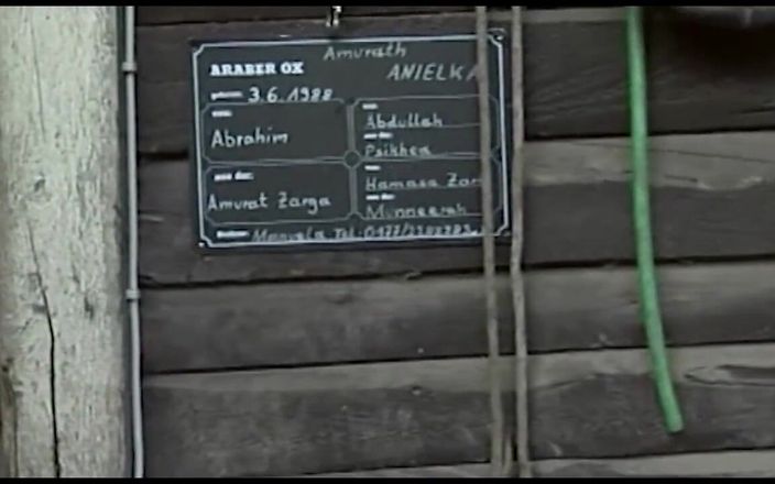 MCG Empire: Dvě krásné mladé vintage lesbičky lízání a masturbace s mrkví...