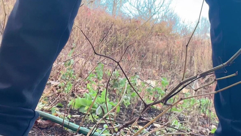 sweethanajapanese: Air kencing, jalan-jalan ke taman