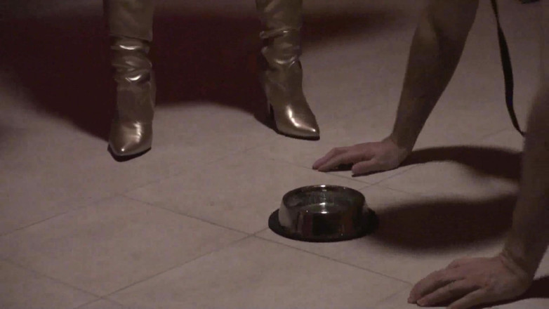 Femdom Austria: She Is Lucky with Two Pets to Obey Her